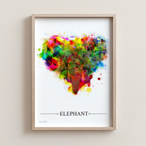 Elephant - Splash 