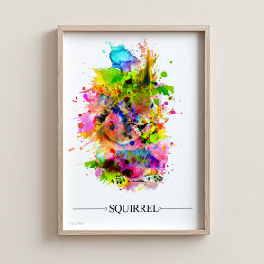 Squirrel - Splash 